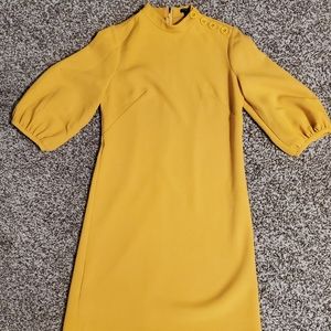 Ann Taylor Bell Sleeve Dress